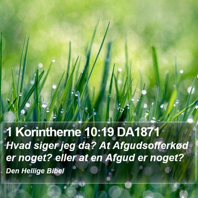 1 Korintherne 10:19 DA1871 Bible Verse Image