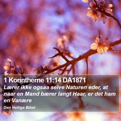 1 Korintherne 11:14 DA1871 Bible Verse Image