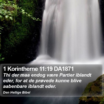 1 Korintherne 11:19 DA1871 Bible Verse Image