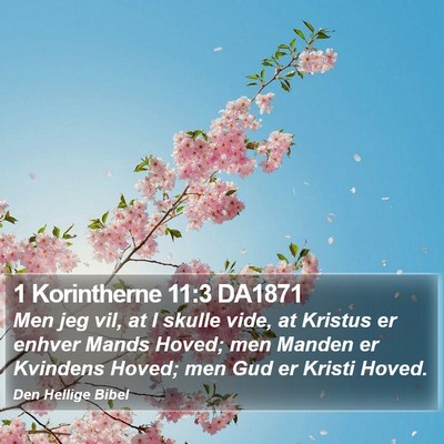 1 Korintherne 11:3 DA1871 Bible Verse Image