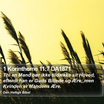 1 Korintherne 11:7 DA1871 Bible Verse Image