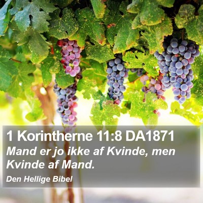 1 Korintherne 11:8 DA1871 Bible Verse Image