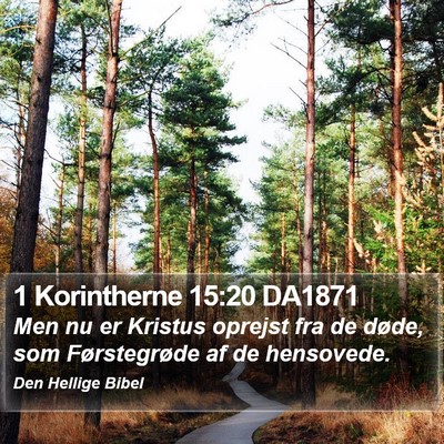 1 Korintherne 15:20 DA1871 Bible Verse Image