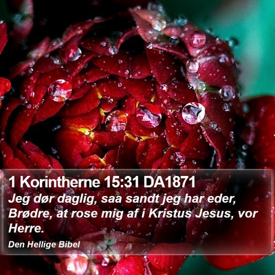 1 Korintherne 15:31 DA1871 Bible Verse Image