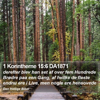 1 Korintherne 15:6 DA1871 Bible Verse Image