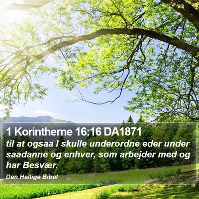 1 Korintherne 16:16 DA1871 Bible Verse Image