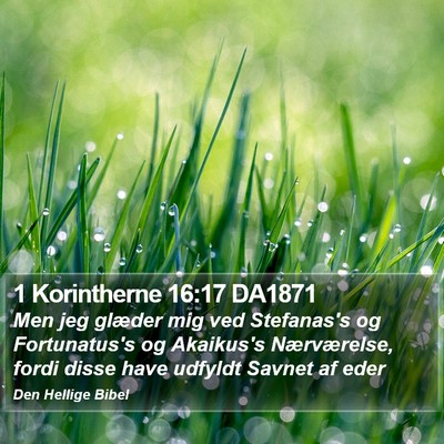1 Korintherne 16:17 DA1871 Bible Verse Image