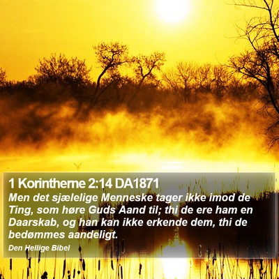 1 Korintherne 2:14 DA1871 Bible Verse Image