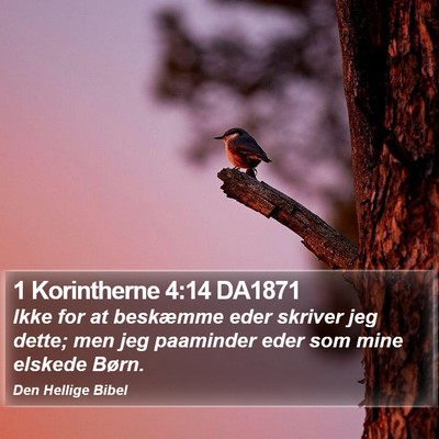 1 Korintherne 4:14 DA1871 Bible Verse Image