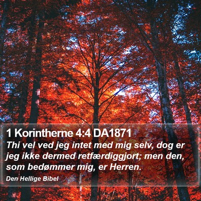 1 Korintherne 4:4 DA1871 Bible Verse Image