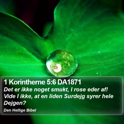 1 Korintherne 5:6 DA1871 Bible Verse Image
