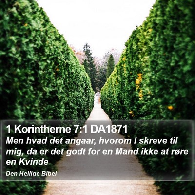 1 Korintherne 7:1 DA1871 Bible Verse Image