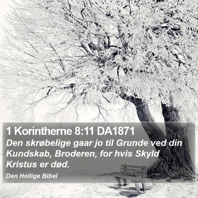 1 Korintherne 8:11 DA1871 Bible Verse Image