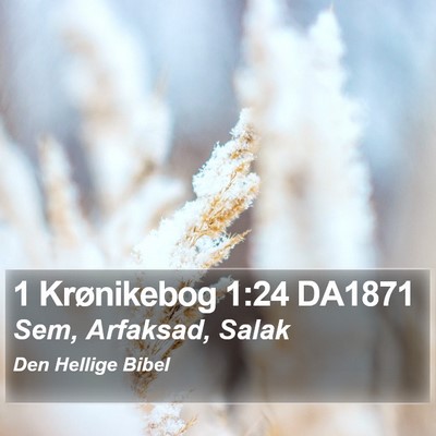 1 Krønikebog 1:24 DA1871 Bible Verse Image