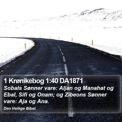 1 Krønikebog 1:40 DA1871 Bible Verse Image