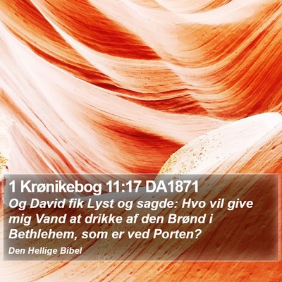 1 Krønikebog 11:17 DA1871 Bible Verse Image
