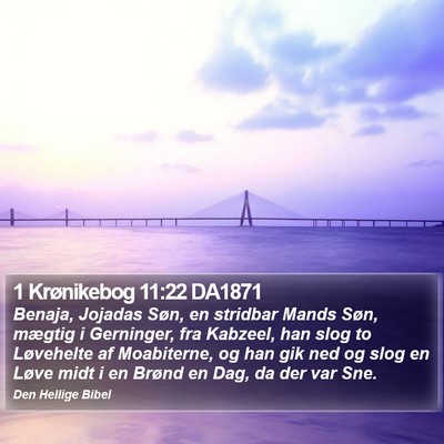 1 Krønikebog 11:22 DA1871 Bible Verse Image