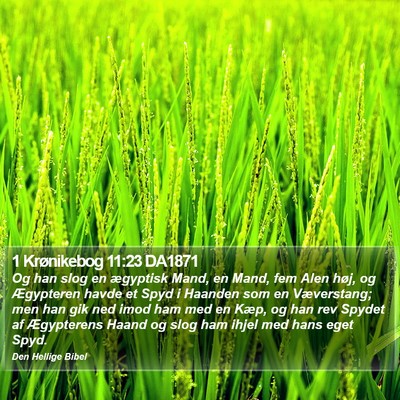 1 Krønikebog 11:23 DA1871 Bible Verse Image