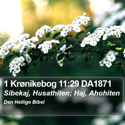 1 Krønikebog 11:29 DA1871 Bible Verse Image