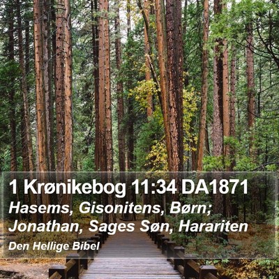 1 Krønikebog 11:34 DA1871 Bible Verse Image