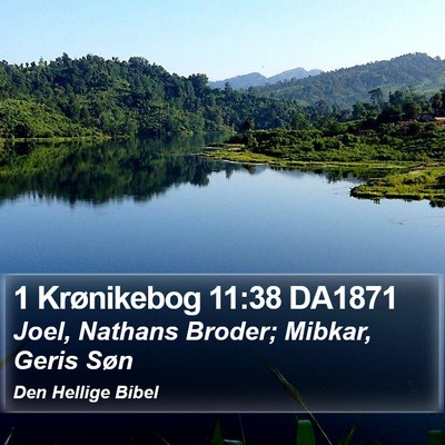 1 Krønikebog 11:38 DA1871 Bible Verse Image
