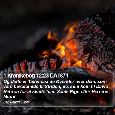 1 Krønikebog 12:23 DA1871 Bible Verse Image