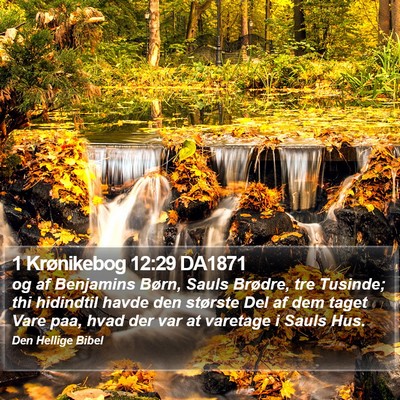 1 Krønikebog 12:29 DA1871 Bible Verse Image