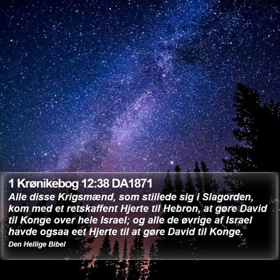 1 Krønikebog 12:38 DA1871 Bible Verse Image