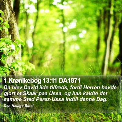 1 Krønikebog 13:11 DA1871 Bible Verse Image