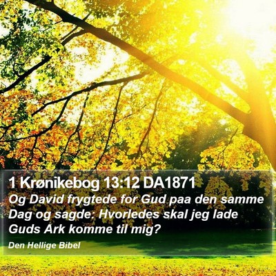 1 Krønikebog 13:12 DA1871 Bible Verse Image