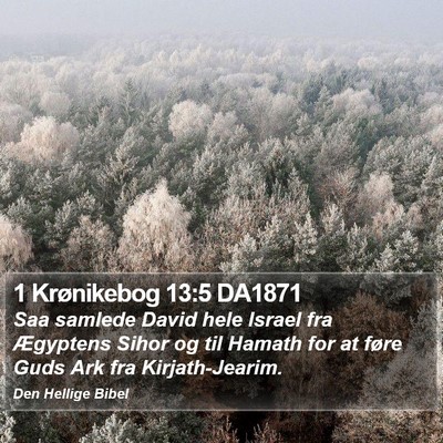 1 Krønikebog 13:5 DA1871 Bible Verse Image