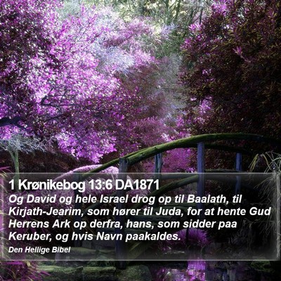 1 Krønikebog 13:6 DA1871 Bible Verse Image