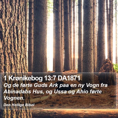 1 Krønikebog 13:7 DA1871 Bible Verse Image