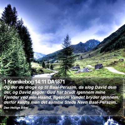 1 Krønikebog 14:11 DA1871 Bible Verse Image