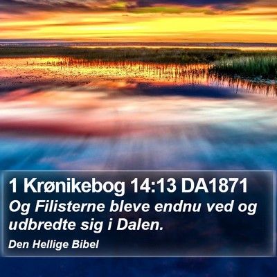 1 Krønikebog 14:13 DA1871 Bible Verse Image