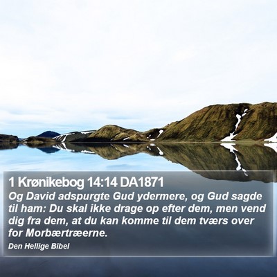 1 Krønikebog 14:14 DA1871 Bible Verse Image