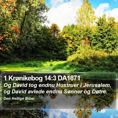 1 Krønikebog 14:3 DA1871 Bible Verse Image
