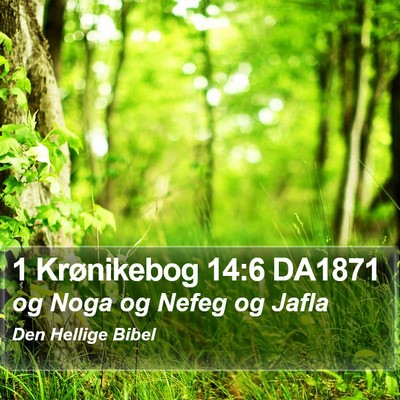 1 Krønikebog 14:6 DA1871 Bible Verse Image
