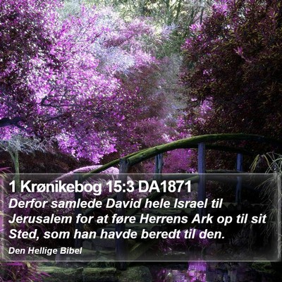 1 Krønikebog 15:3 DA1871 Bible Verse Image