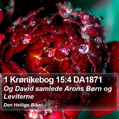 1 Krønikebog 15:4 DA1871 Bible Verse Image