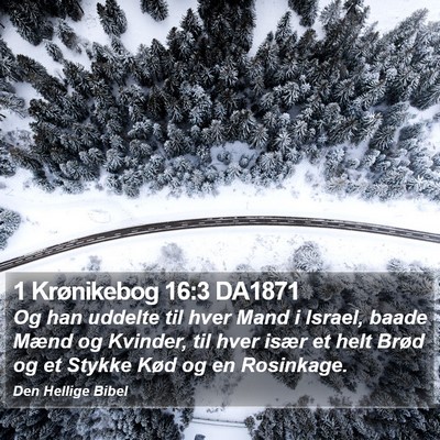 1 Krønikebog 16:3 DA1871 Bible Verse Image