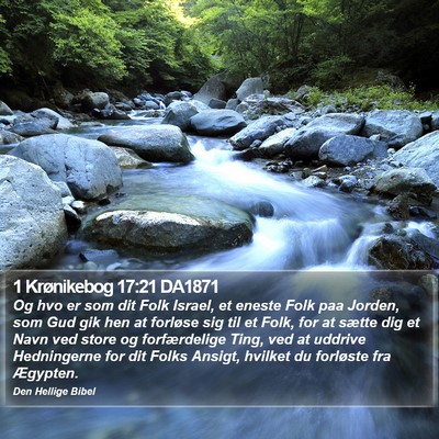 1 Krønikebog 17:21 DA1871 Bible Verse Image