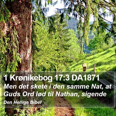 1 Krønikebog 17:3 DA1871 Bible Verse Image