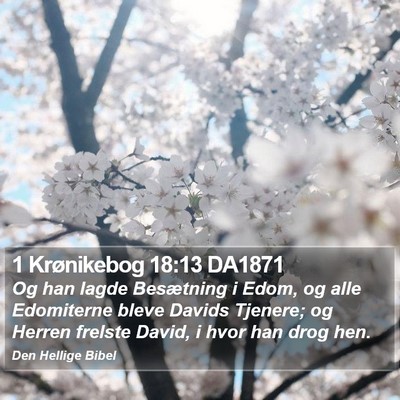 1 Krønikebog 18:13 DA1871 Bible Verse Image