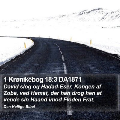 1 Krønikebog 18:3 DA1871 Bible Verse Image