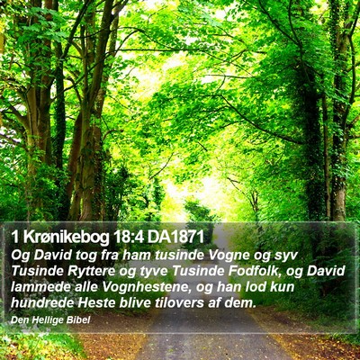 1 Krønikebog 18:4 DA1871 Bible Verse Image