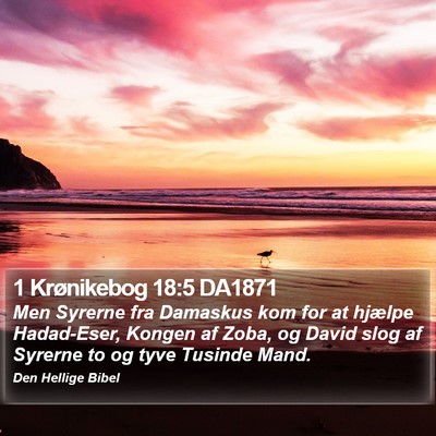1 Krønikebog 18:5 DA1871 Bible Verse Image