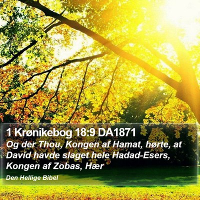 1 Krønikebog 18:9 DA1871 Bible Verse Image