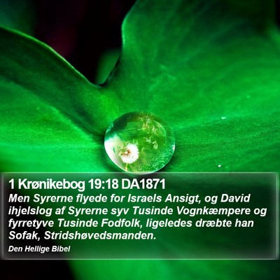 1 Krønikebog 19:18 DA1871 Bible Verse Image