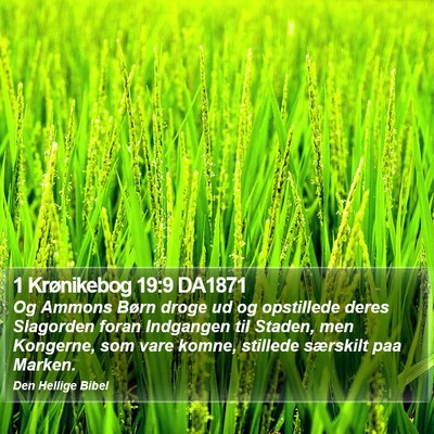 1 Krønikebog 19:9 DA1871 Bible Verse Image